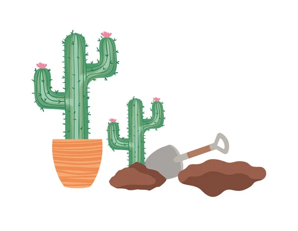 Cactus para plantar icono aislado — Vector de stock