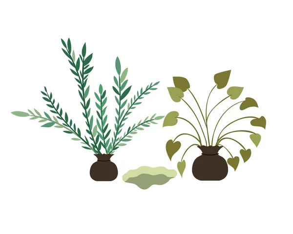 Arbres pour planter icône isolée — Image vectorielle