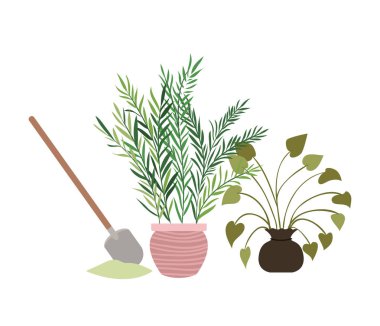 saksı izole simgesi ile houseplants