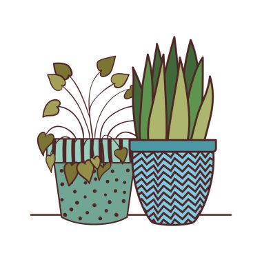 saksı izole simgesi ile houseplants