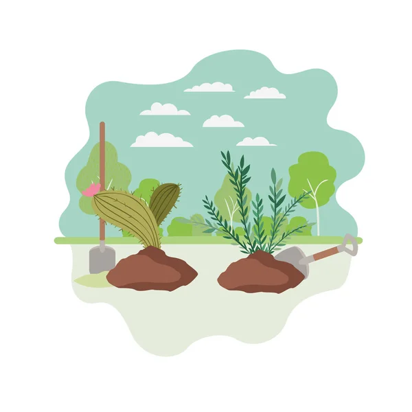 Kaktus i drzewo do roślin w krajobrazie — Wektor stockowy