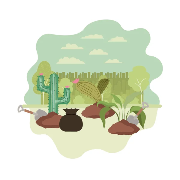 Cactus and tree to plant in landscape — Stock Vector