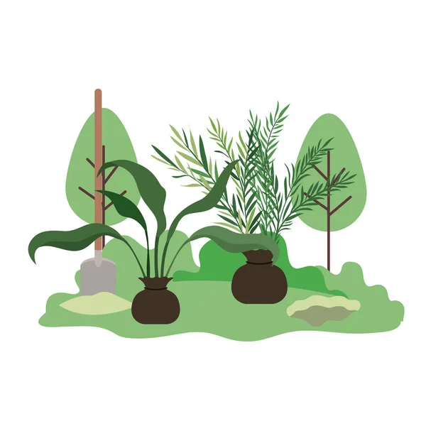 Alberi da piantare nel paesaggio icona isolata — Vettoriale Stock