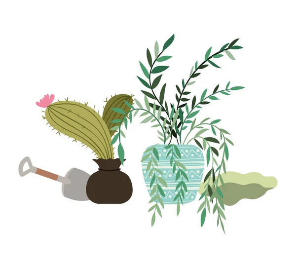 Saksı izole simgesi ile houseplants — Stok Vektör