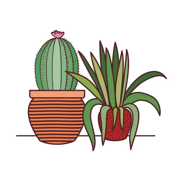 Kaktus med kruk isolerad ikon — Stock vektor