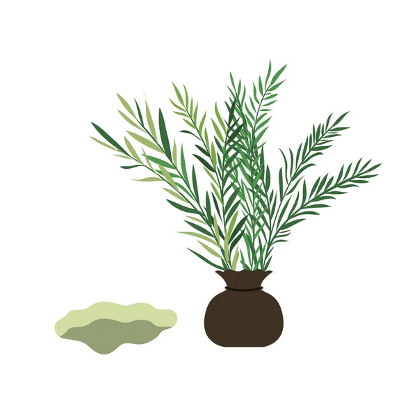 Tree to plant isolated icon — Stock Vector