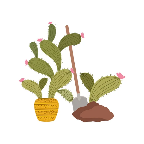 Cactus para plantar icono aislado — Vector de stock