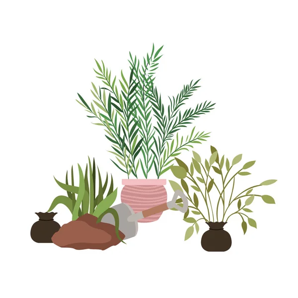 Plantas de sala com ícone isolado em vaso — Vetor de Stock