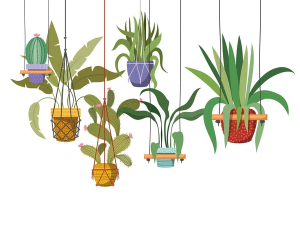 Plantas de sala no ícone cabides macrame — Vetor de Stock