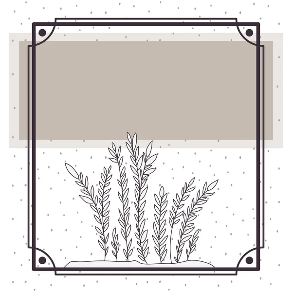 Візерунок рослина з рамкою ізольована піктограма — стоковий вектор