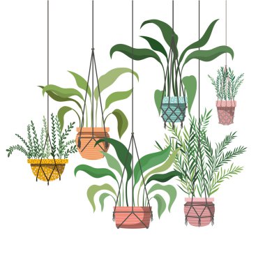 macrame askıları simgesi üzerinde houseplants