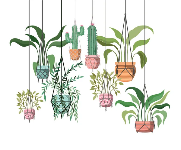 Plantes d'intérieur sur macramé cintres icône — Image vectorielle