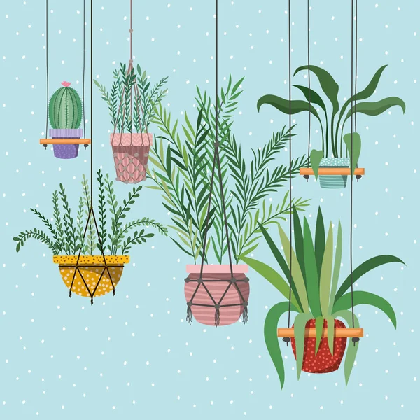 Plantas de interior en perchas de macramé — Vector de stock