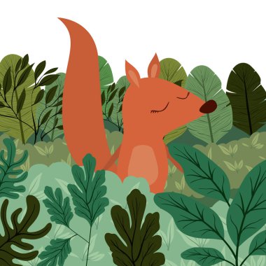 Vahşi sincap orman sahnesinde