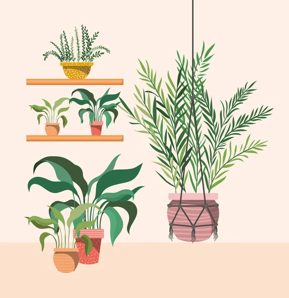 Plantas de sala em cabide macrame e prateleiras — Vetor de Stock