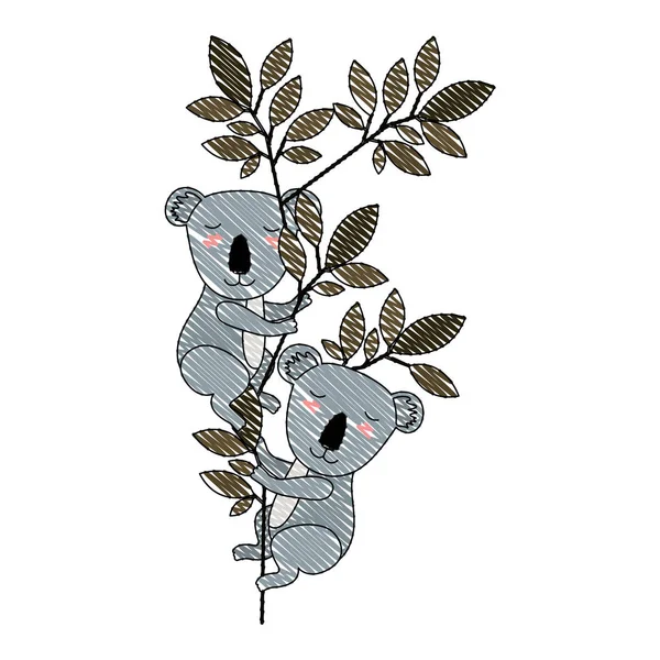 丛林里的野生考拉夫妇 — 图库矢量图片