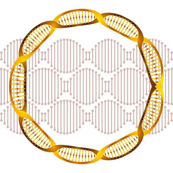 dairesel DNA zincir bilimi simgesi