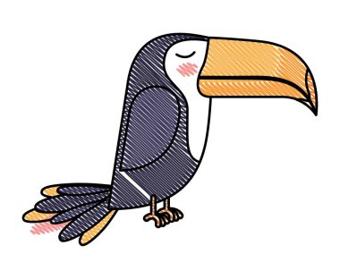 sevimli kuş toucan izole simgesi