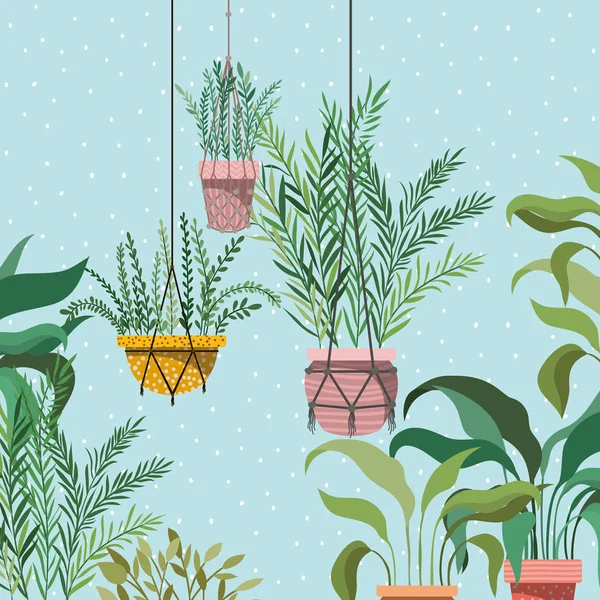 Macrame askıları bahçe sahnesinde houseplants — Stok Vektör