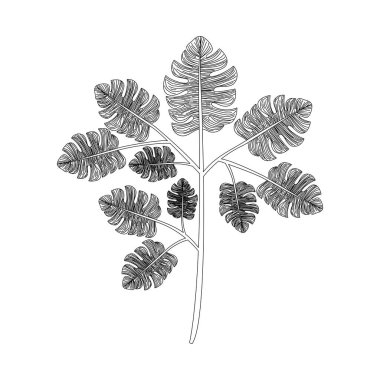 Yaprak ekoloji simgesine sahip dal