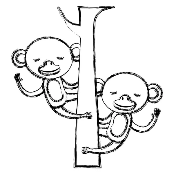 Wild monkeys couple in the tree — Stock Vector