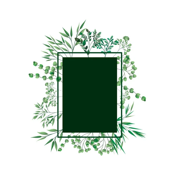 Cadre vert avec branches et feuilles — Image vectorielle