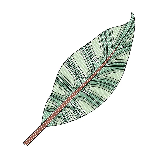 Leveles növény ökológia ikon — Stock Vector