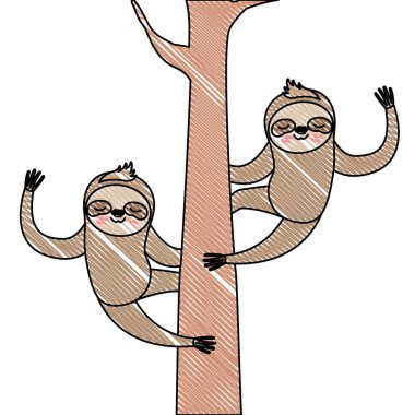 Vahşi miskinler ağaçta çiftleşir