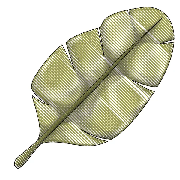 Ökologisches Symbol der Blattpflanze — Stockvektor