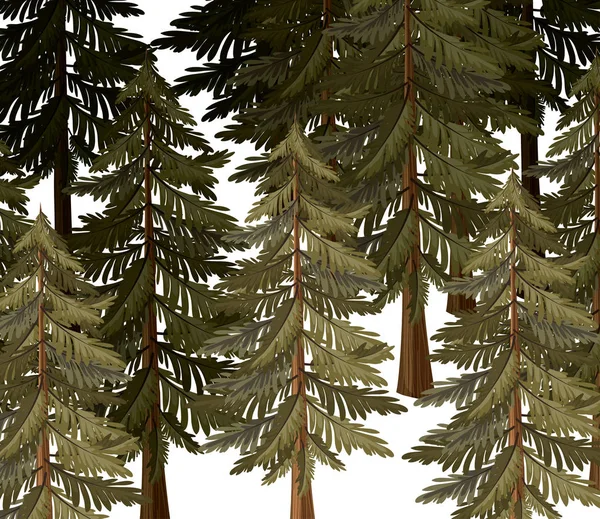 Bosque de pino escena pintado estilo acuarela — Archivo Imágenes Vectoriales