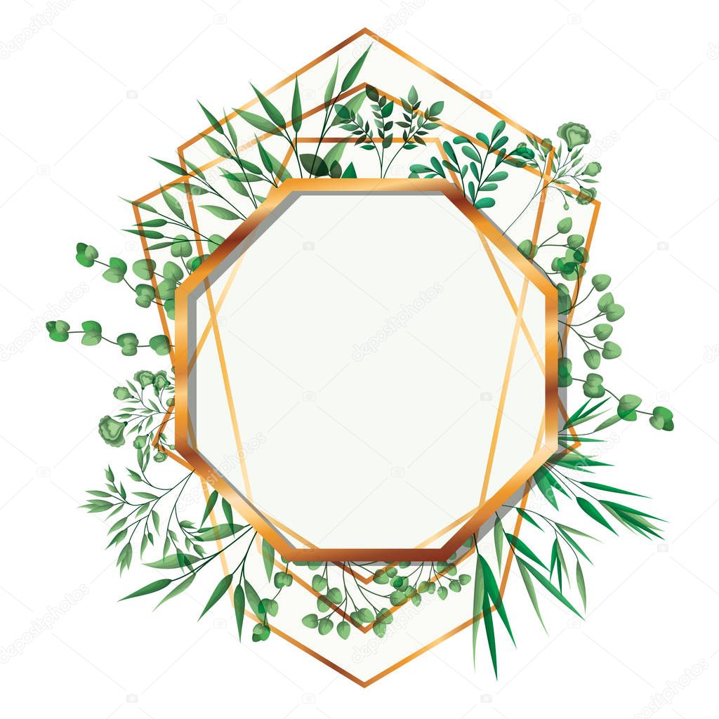 golden frame octagon with foliage isolated icon