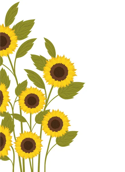 Patroon van zonnebloemen geïsoleerd icoon — Stockvector