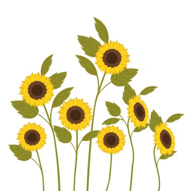 pattern of sunflowers isolated icon clipart