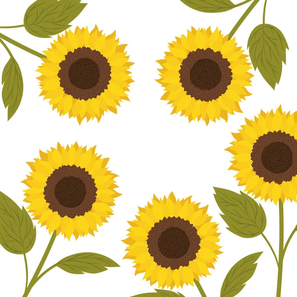 Patroon van zonnebloemen geïsoleerd icoon — Stockvector