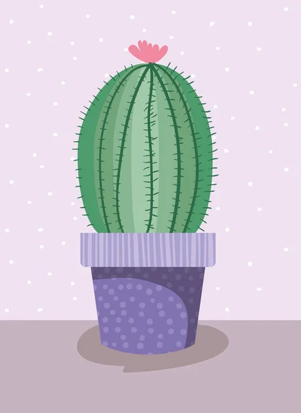 Kaktus hus växt i kruka — Stock vektor