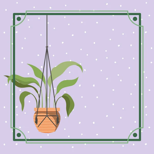 Frame met kamerplant opknoping in macrame — Stockvector