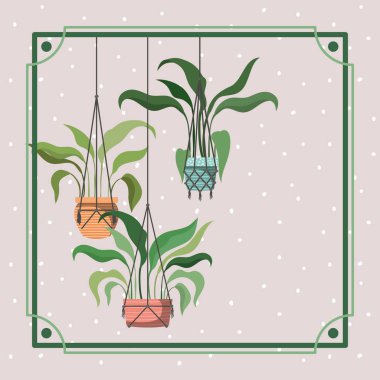 macrame asılı houseplants ile çerçeve