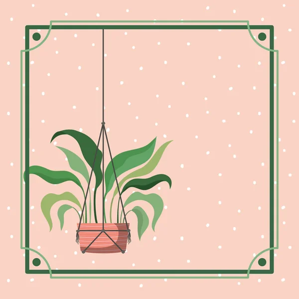 框架与室内植物挂在麦克拉梅 — 图库矢量图片