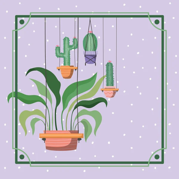 Frame met kamerplanten en cactus opknoping in macrame — Stockvector