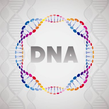 dna molekülü dairesel yapısı