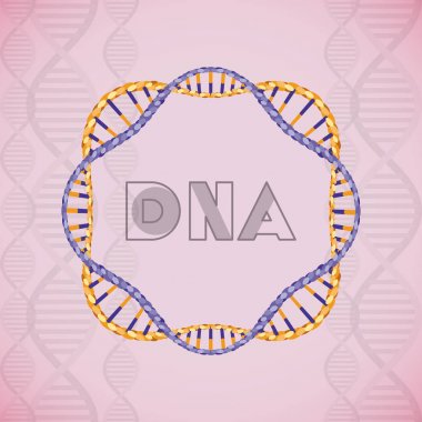 dna molekülü dairesel yapısı