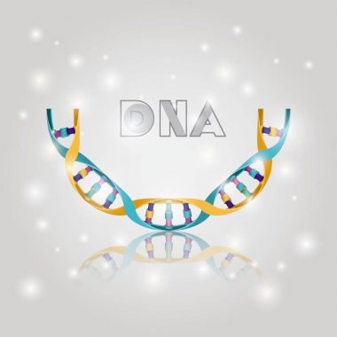 dna molekülü yarım daire yapı deseni