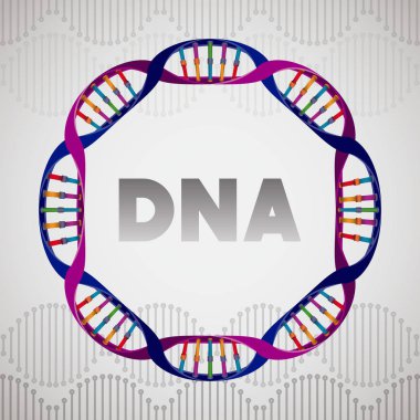 dna molekülü dairesel yapısı