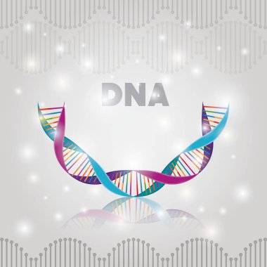 dna molekülü yarım daire yapı deseni