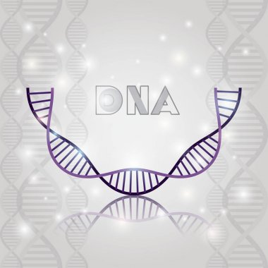 dna molekülü yarım daire yapı deseni