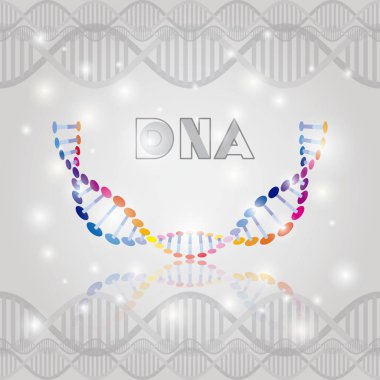 dna molekülü yarım daire yapı deseni