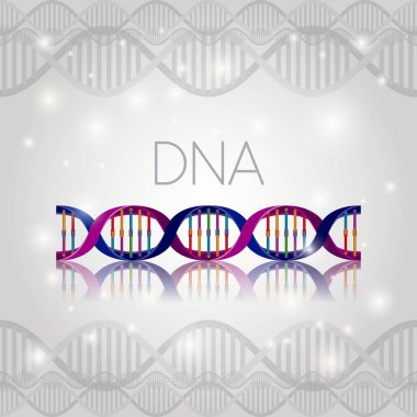 çizgi yapısı deseni üzerinde DNA molekülü
