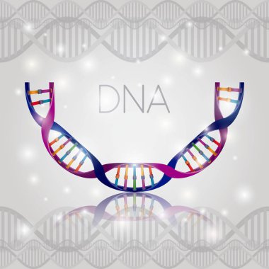 dna molekülü yarım daire yapı deseni