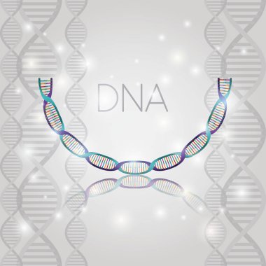 dna molekülü yarım daire yapı deseni