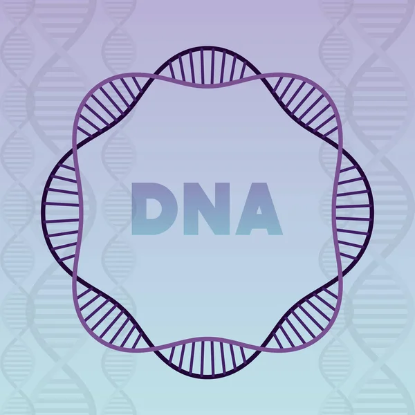Kulatá konstrukce DNA — Stockový vektor